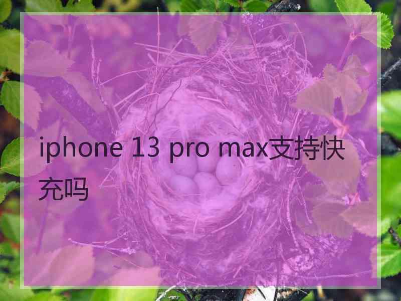 iphone 13 pro max支持快充吗