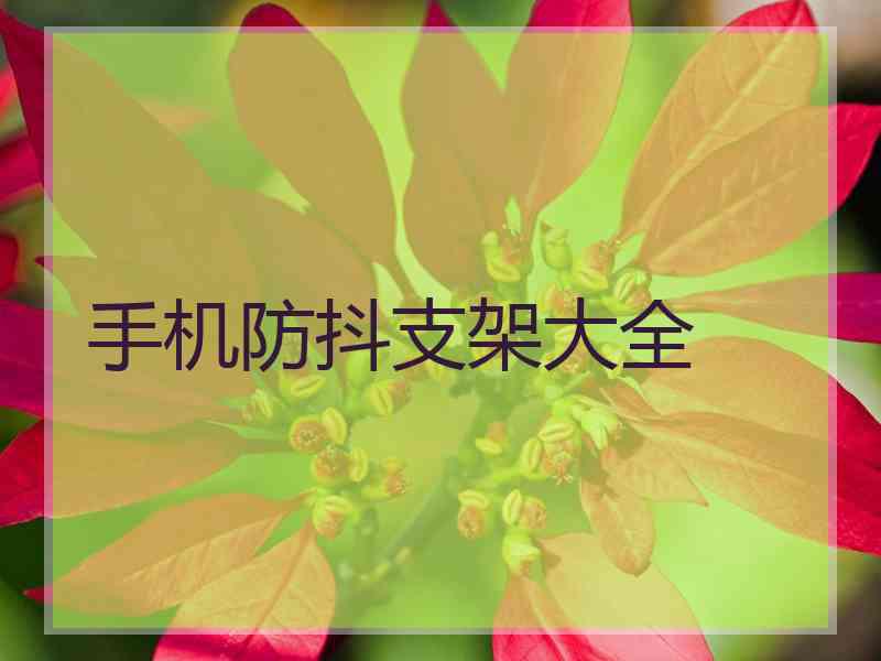 手机防抖支架大全