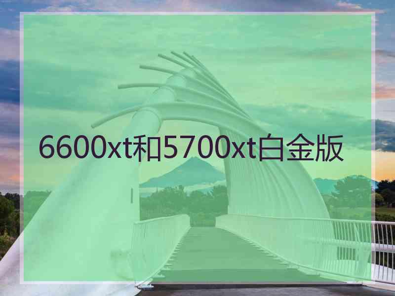 6600xt和5700xt白金版