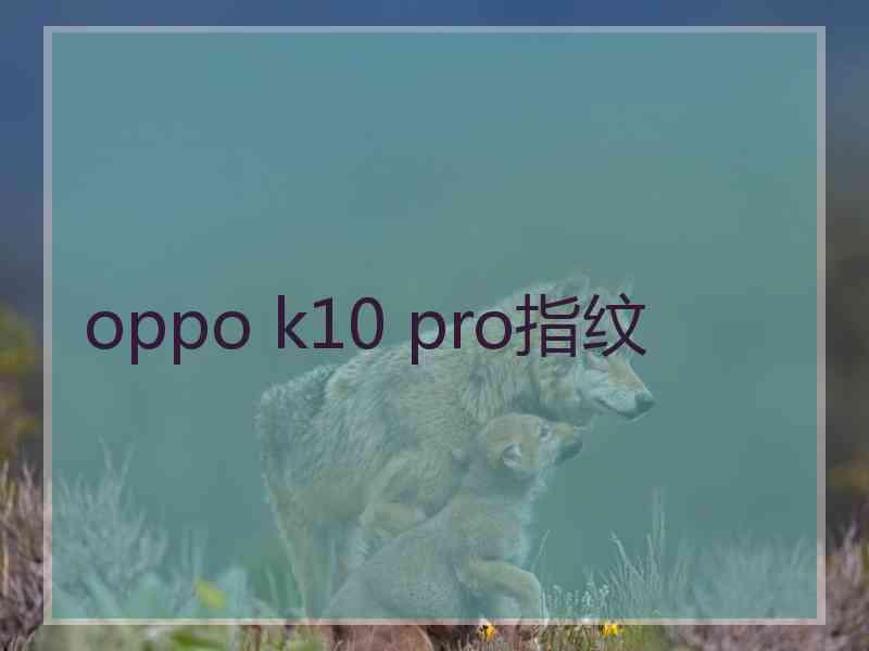 oppo k10 pro指纹