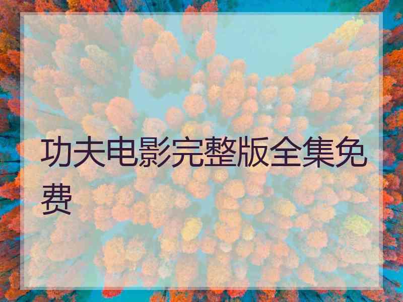 功夫电影完整版全集免费