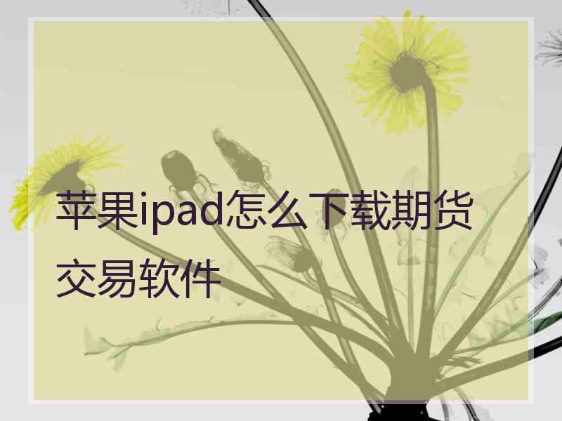 苹果ipad怎么下载期货交易软件