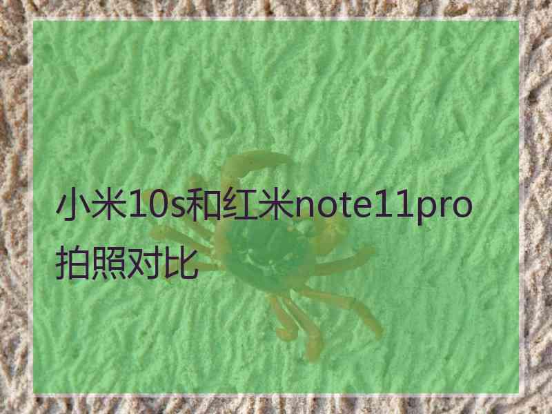 小米10s和红米note11pro拍照对比