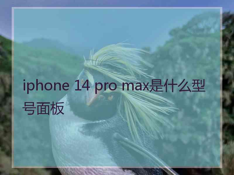 iphone 14 pro max是什么型号面板