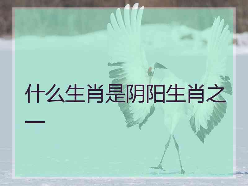 什么生肖是阴阳生肖之一