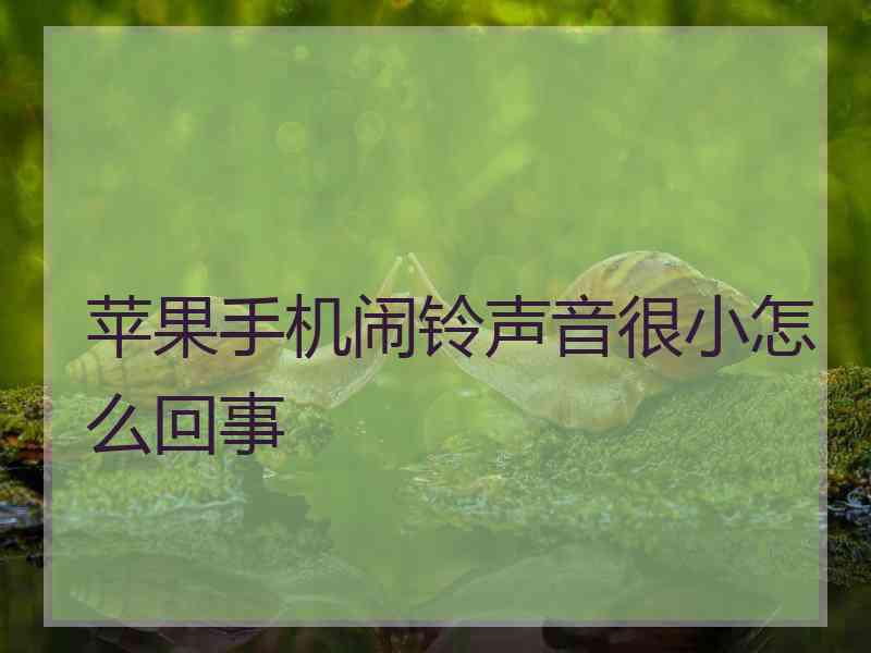 苹果手机闹铃声音很小怎么回事