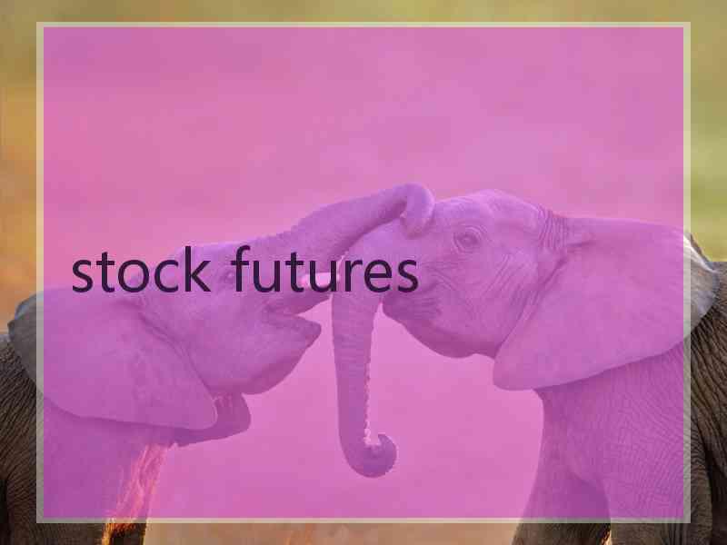 stock futures