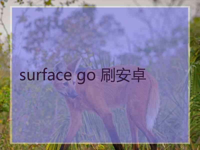 surface go 刷安卓