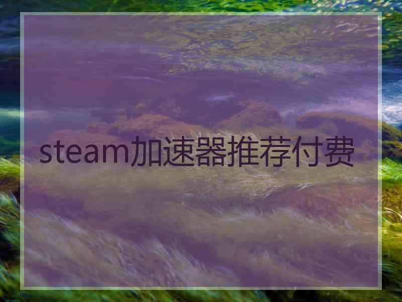 steam加速器推荐付费