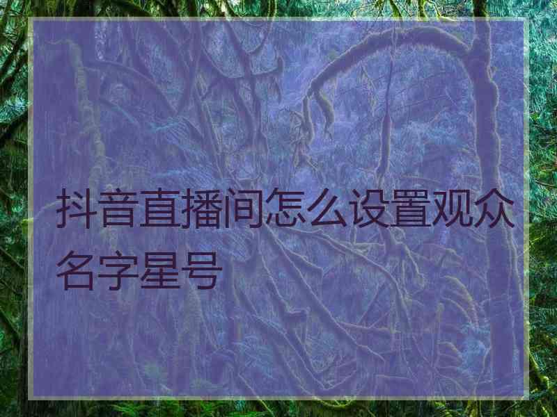 抖音直播间怎么设置观众名字星号