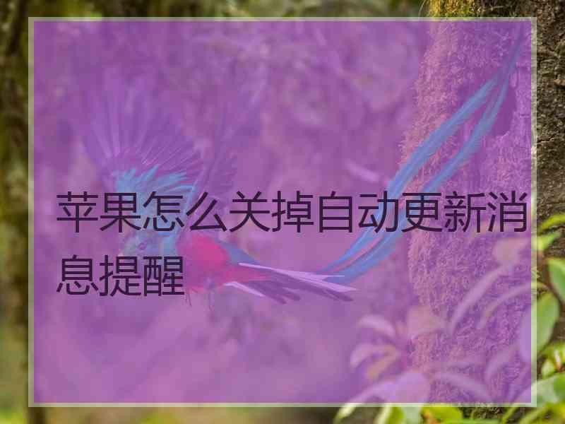 苹果怎么关掉自动更新消息提醒