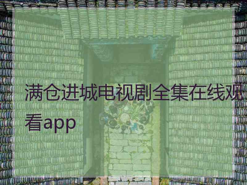 满仓进城电视剧全集在线观看app