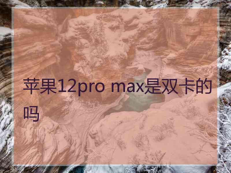 苹果12pro max是双卡的吗