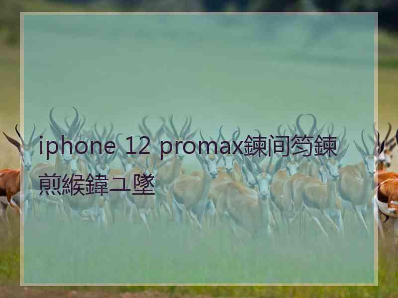 iphone 12 promax鍊间笉鍊煎緱鍏ユ墜