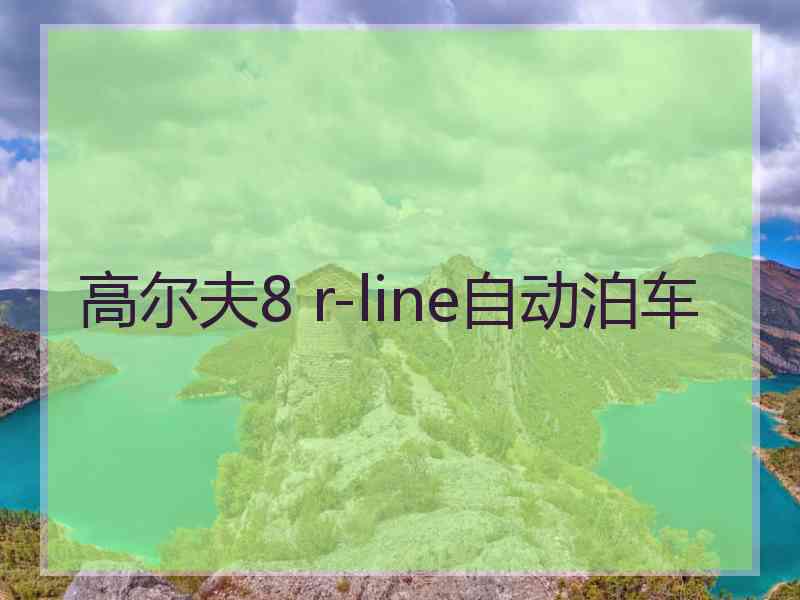 高尔夫8 r-line自动泊车