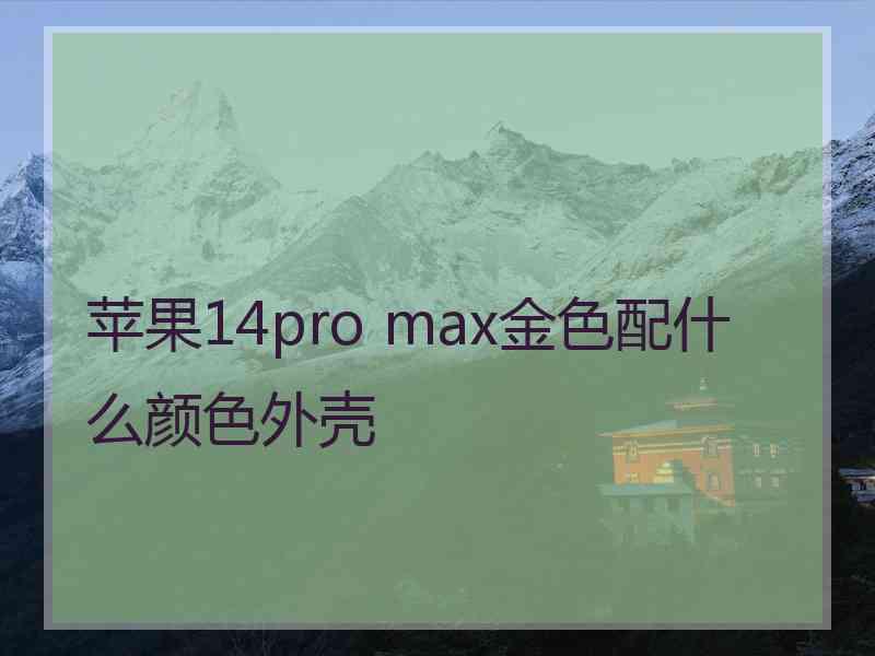 苹果14pro max金色配什么颜色外壳