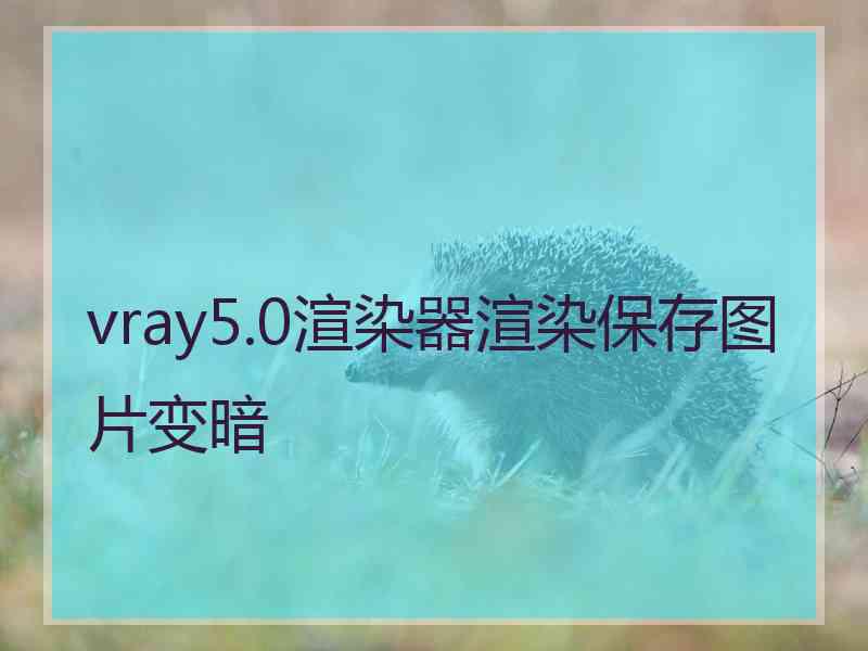 vray5.0渲染器渲染保存图片变暗