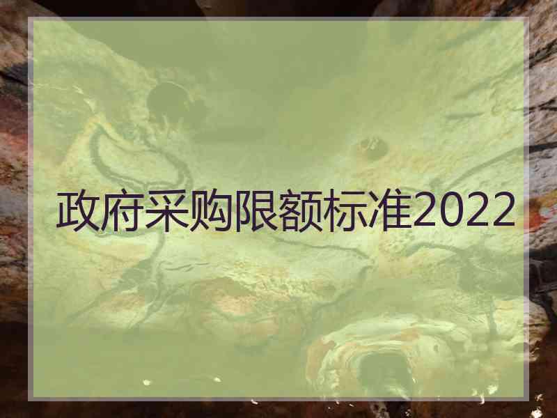 政府采购限额标准2022