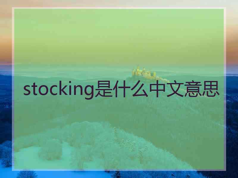 stocking是什么中文意思