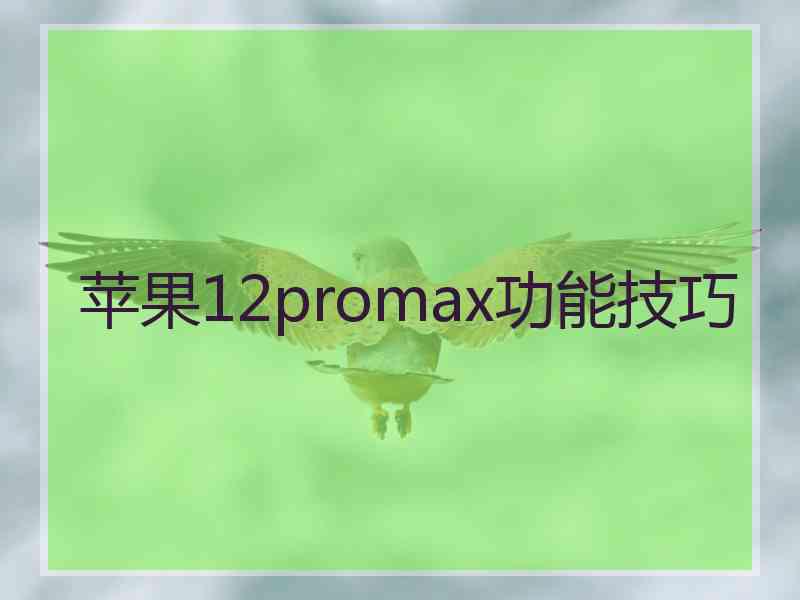 苹果12promax功能技巧