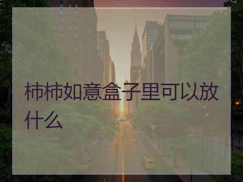 柿柿如意盒子里可以放什么