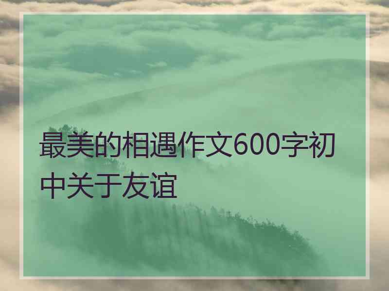 最美的相遇作文600字初中关于友谊