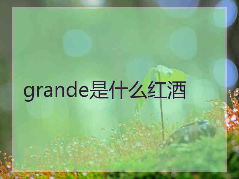 grande是什么红酒