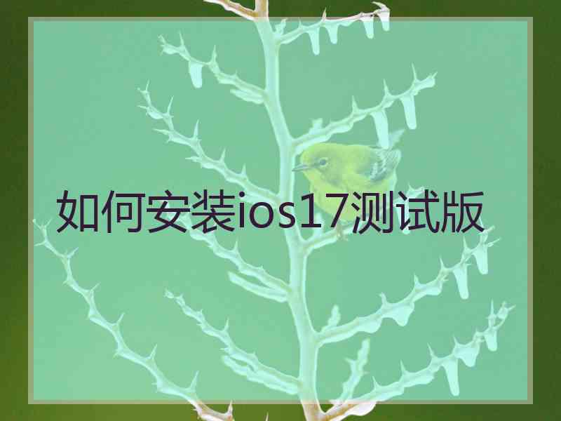 如何安装ios17测试版