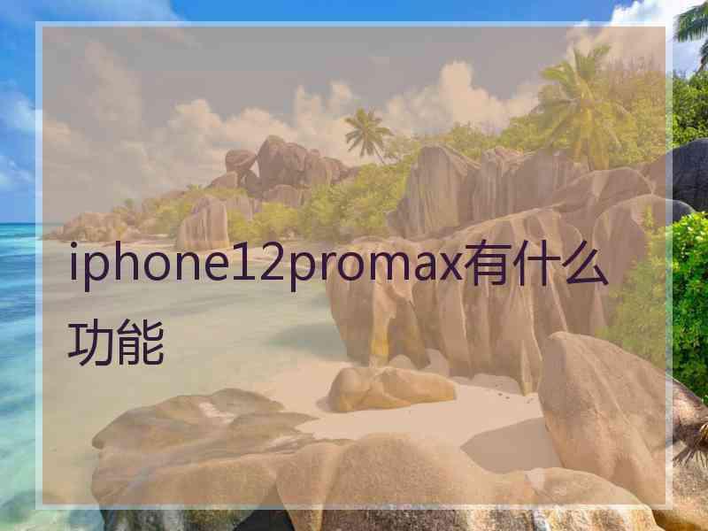 iphone12promax有什么功能