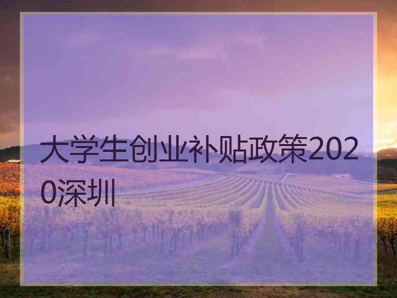 大学生创业补贴政策2020深圳