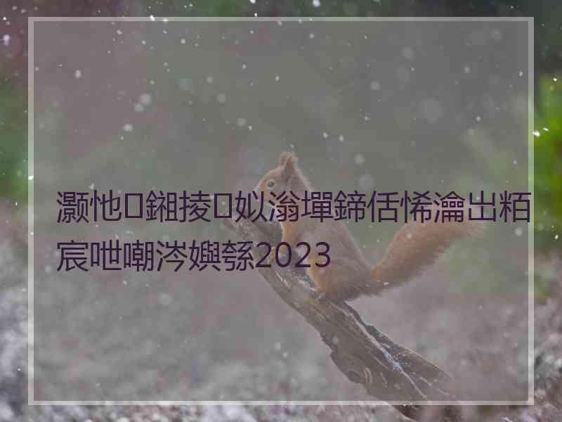 灏忚鎺掕姒滃墠鍗佸悕瀹岀粨宸呭嘲涔嬩綔2023