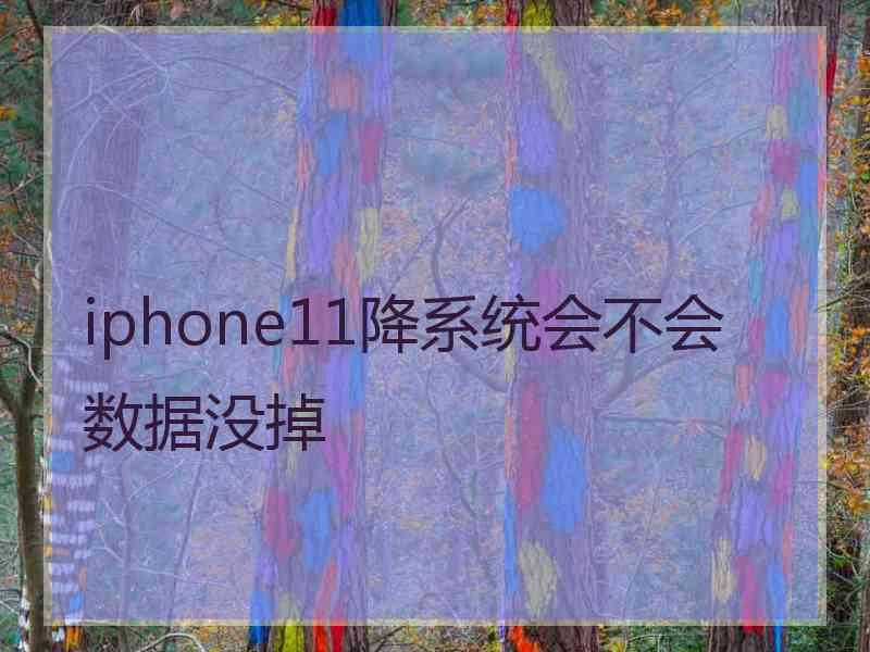 iphone11降系统会不会数据没掉