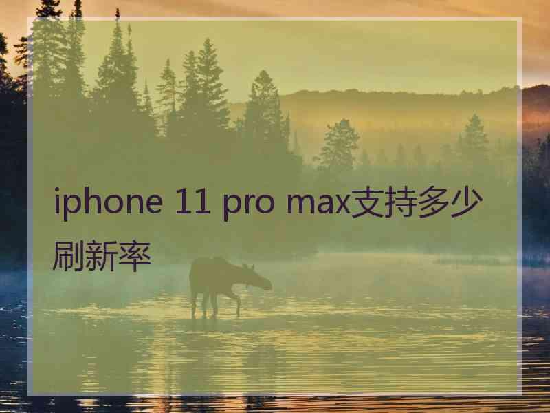 iphone 11 pro max支持多少刷新率