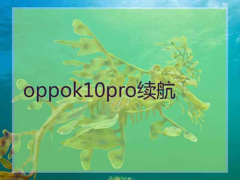 oppok10pro续航