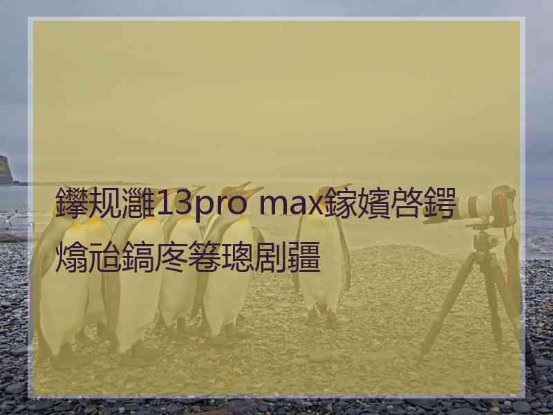 鑻规灉13pro max鎵嬪啓鍔熻兘鎬庝箞璁剧疆