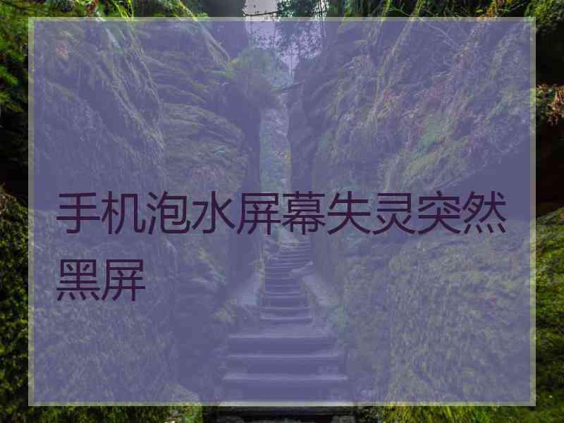 手机泡水屏幕失灵突然黑屏