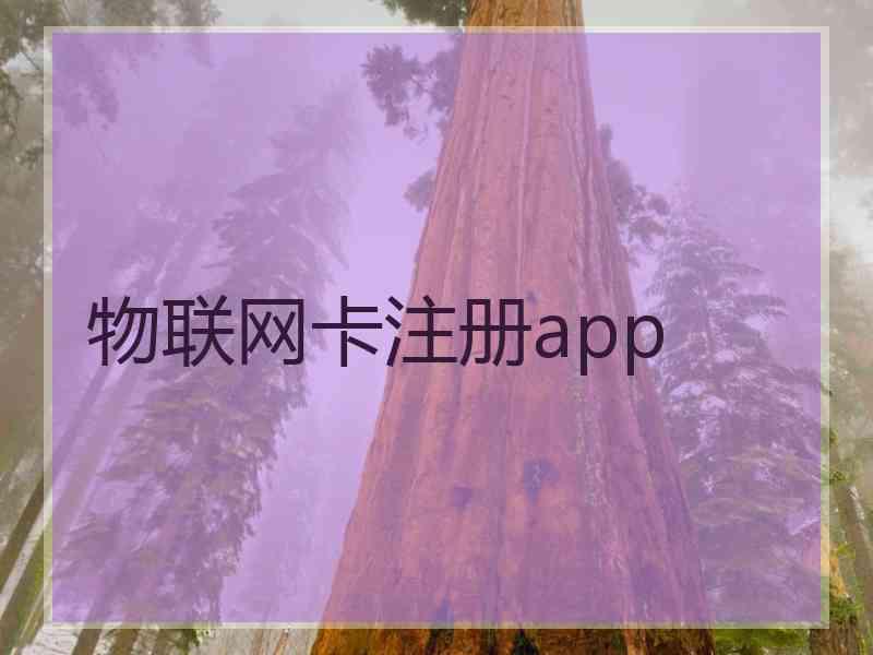 物联网卡注册app