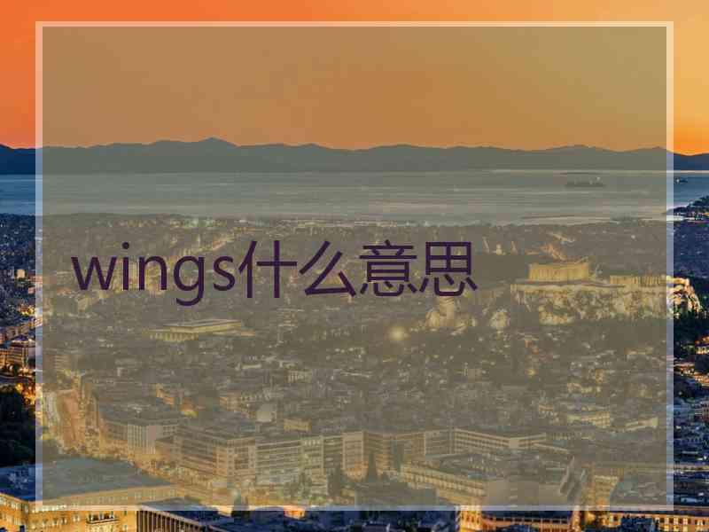 wings什么意思