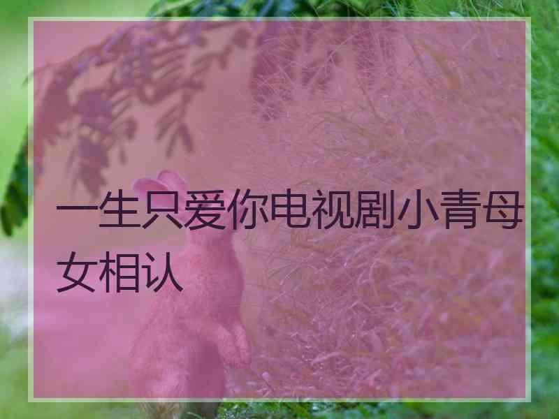 一生只爱你电视剧小青母女相认