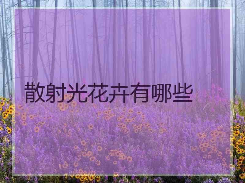 散射光花卉有哪些