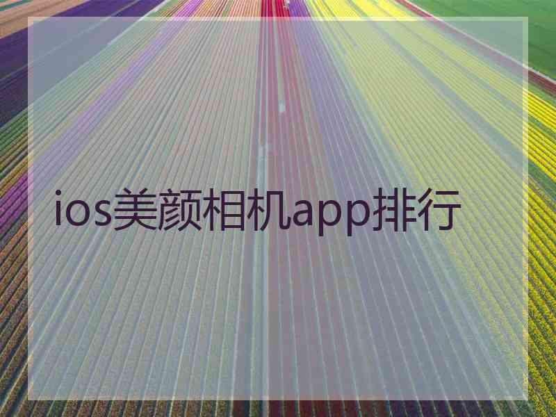 ios美颜相机app排行