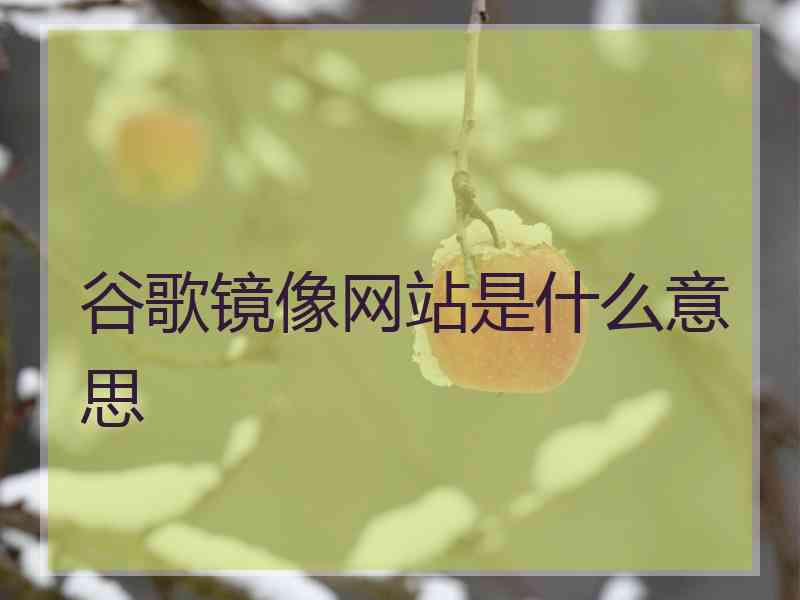 谷歌镜像网站是什么意思