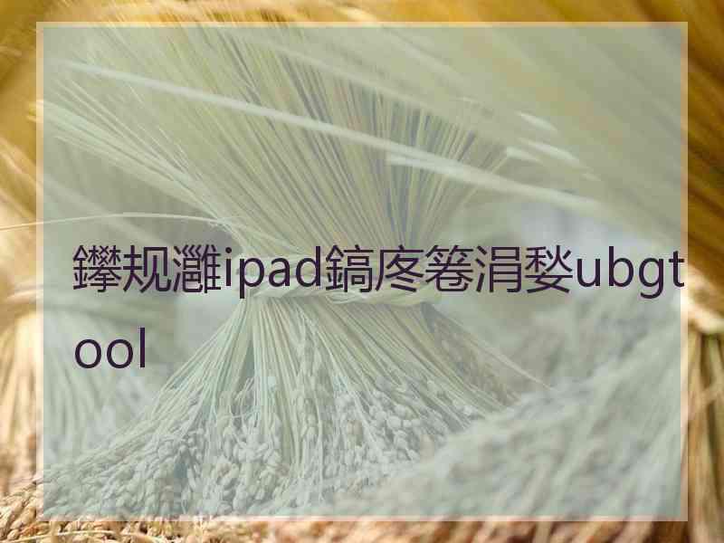 鑻规灉ipad鎬庝箞涓媝ubgtool