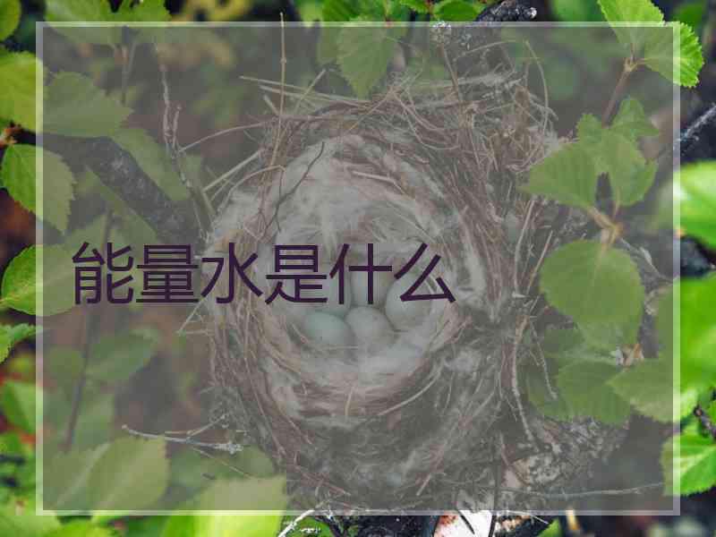 能量水是什么