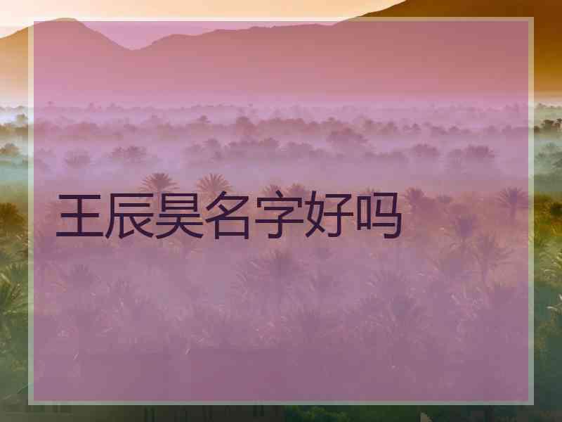 王辰昊名字好吗