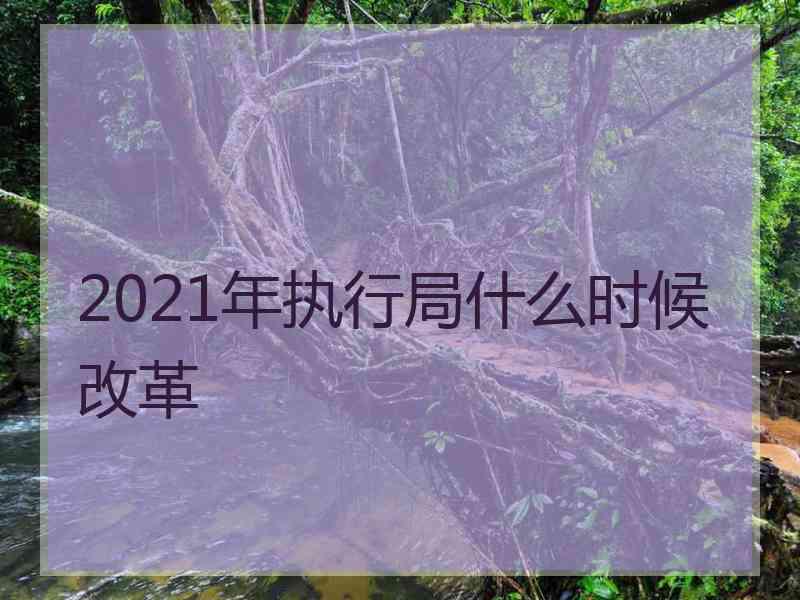 2021年执行局什么时候改革