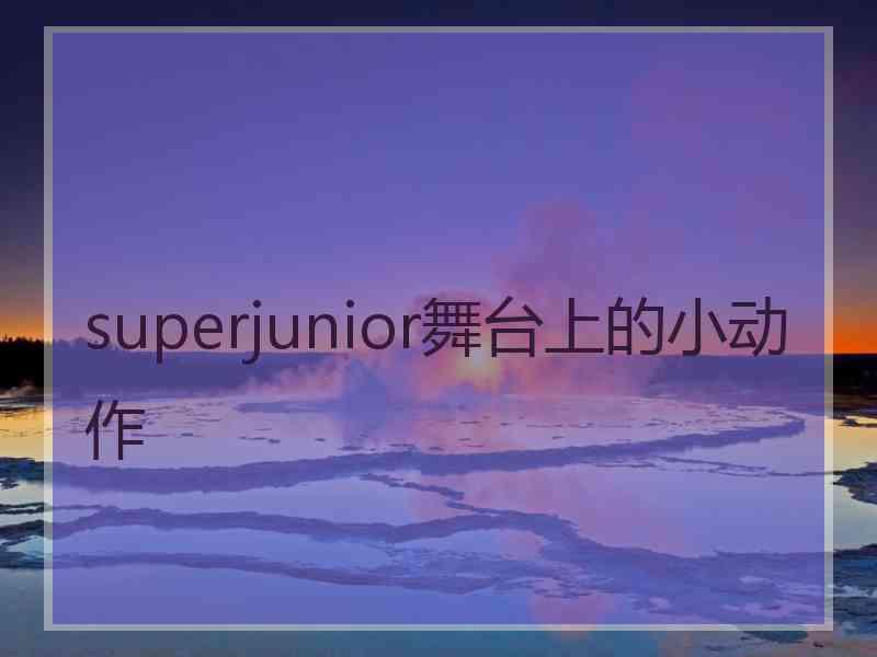 superjunior舞台上的小动作