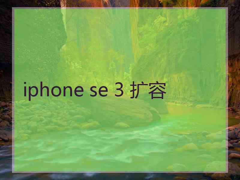 iphone se 3 扩容