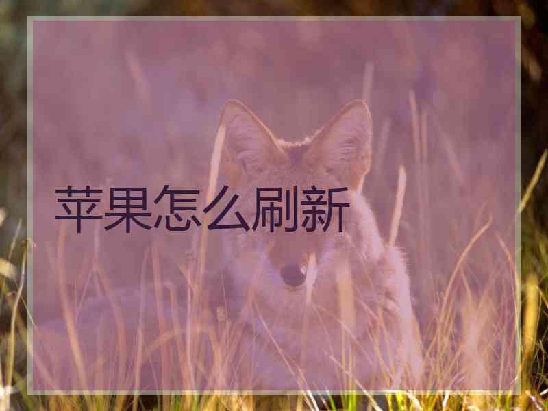 苹果怎么刷新