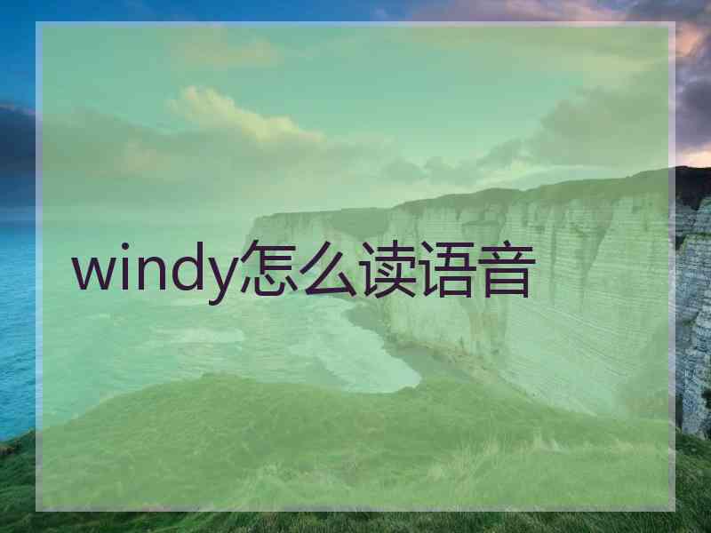 windy怎么读语音